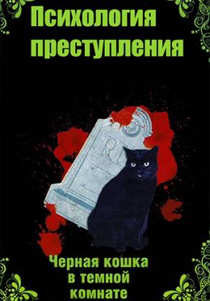 Психология преступления. Чёрная кошка в тёмной комнате (2021)