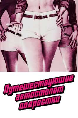 Девушки-попутчицы (1974)