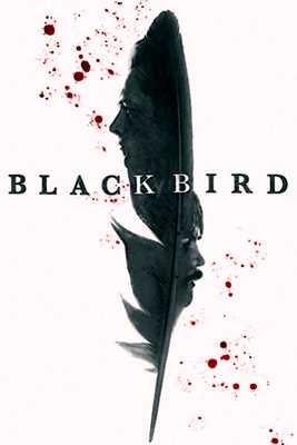 Чёрная птица (2022)