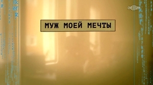 Муж моей мечты (2024)