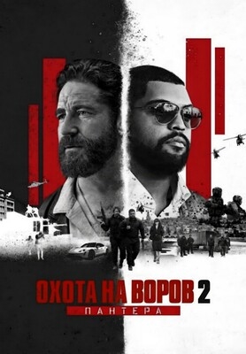 Охота на воров 2: Пантера (2025)