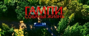 Гампи. Собачья жизнь (2024)